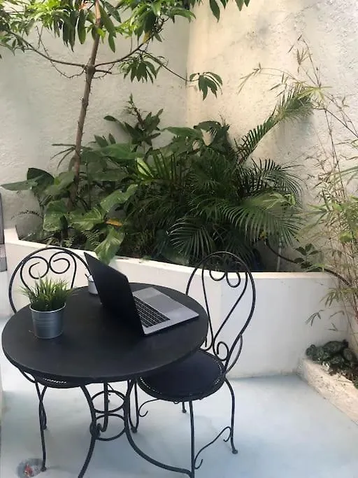 شقة Casa Erzulie - Enjoy The Colonial City سانتو دومينجو جمهورية الدومينيكان