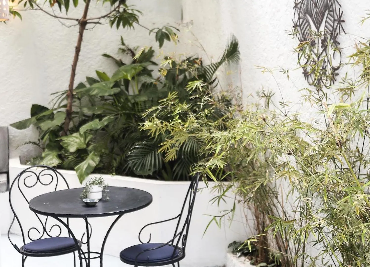 Casa Erzulie - Enjoy The Colonial City سانتو دومينجو 0*,